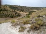 08082010050.jpg