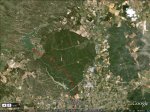 lepe-2.jpg