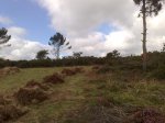 070820102520.jpg