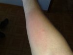 080820102524.jpg