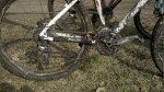 2010-08-07_11-46-32_544.jpg