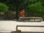 DSC01067A.JPG
