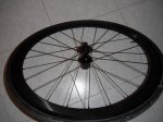 DSCF0439.JPG