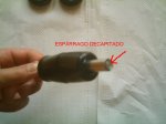 ESPARRAGO.jpg