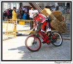 IMG_0522_2.jpg