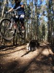 salto pasado.JPG