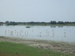 DSCF1276.jpg