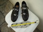 DSC00019.jpg