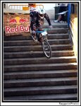 IMG_0685_2.jpg