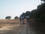 DSC00013.jpg