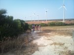 DSC00010.jpg
