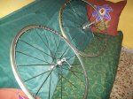 100_0670.jpg