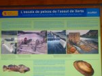 Foto13.JPG