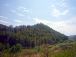 Foto33.JPG