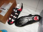 DSC02978.jpg