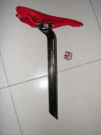 DSC02979.jpg