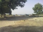 11082010334.jpg