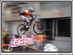 IMG_0869.jpg