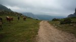 P1010203.jpg