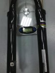 10082010298.jpg