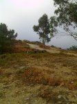 11082010213.jpg