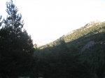 IMG_7323.jpg