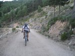 IMG_7324.jpg