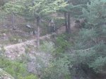 IMG_7329.jpg