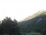 IMG_7322.jpg