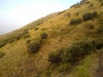 11082010325.jpg