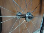 DSC00884.jpg