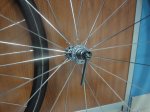 DSC00886.jpg