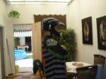 casco 003.jpg