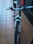 DSC00235.jpg