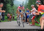 pol10st07-up.jpg