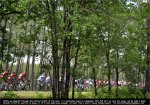 tour-woods.jpg