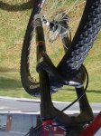 12082010342.jpg