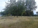 DSC00890.jpg