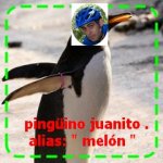 kijkdisdipinguino melon..jpg