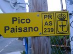 paisano.JPG