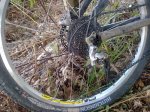 20100810182.jpg