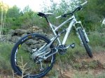 Zesty 22-06-2010 008.jpg