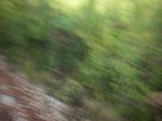 IMG_0718.jpg