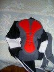 auro2010 010.jpg