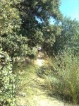 Imagen0030.jpg