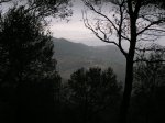 Alt-1 (14).JPG