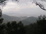 Alt-1 (15).JPG