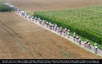 eneco-ladies.jpg