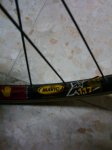 IMAG0293.jpg