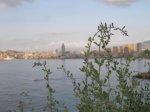 100_9854.jpg